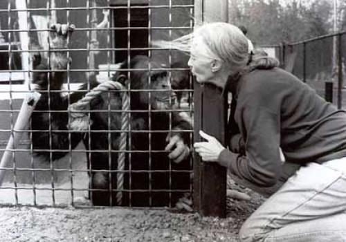 In the Shadow of Man 